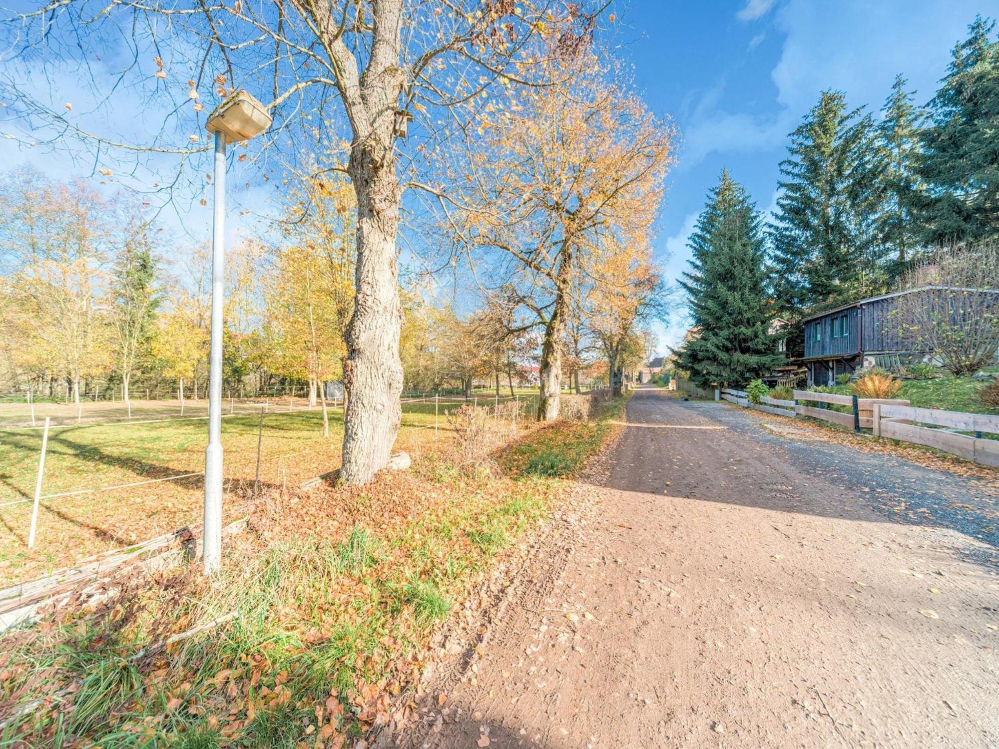 Comely Holiday Home In G Ntersberge Near Forest Güntersberge Kültér fotó